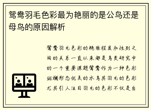 鸳鸯羽毛色彩最为艳丽的是公鸟还是母鸟的原因解析