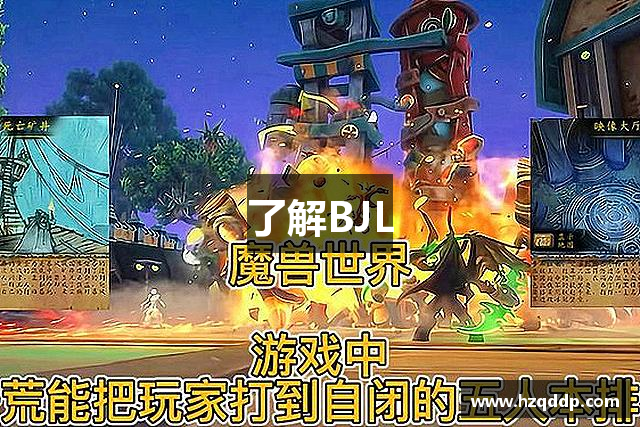 了解BJL
